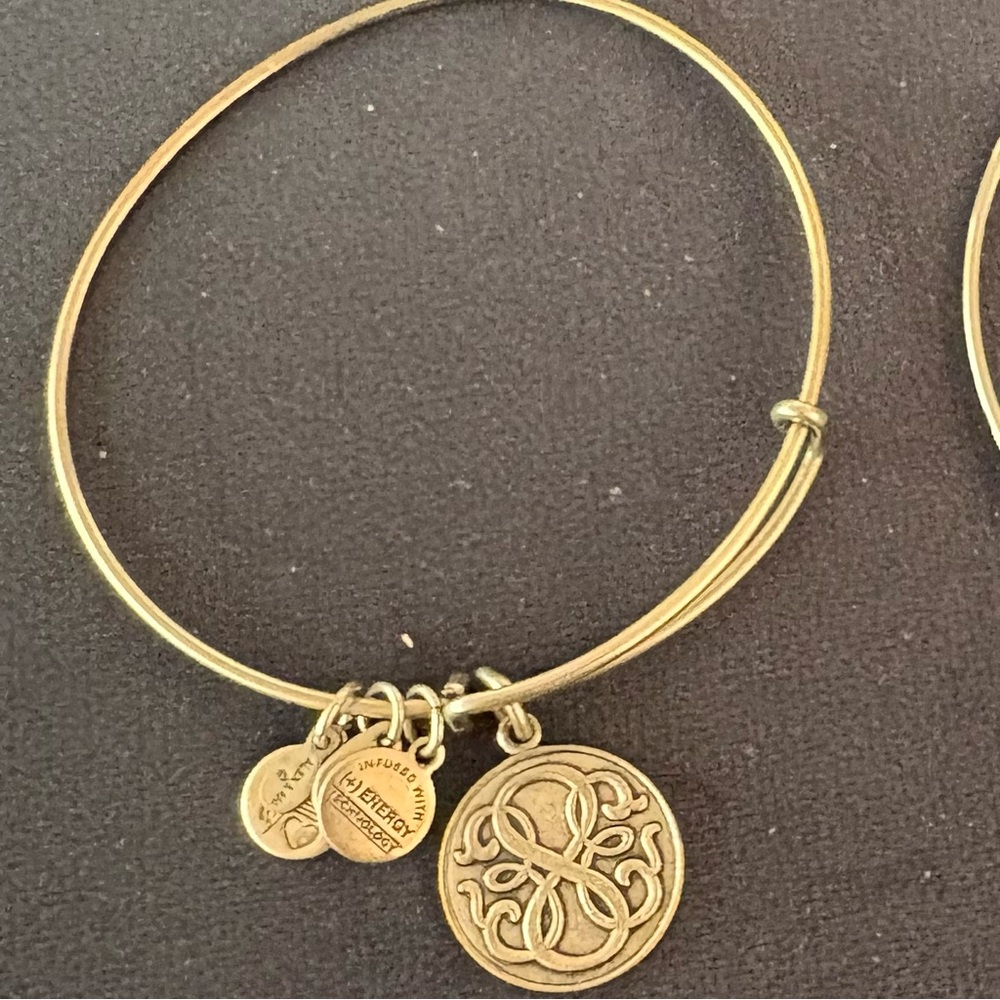 💚Alex and Ani Silver Bangle Bracelet with Charm
